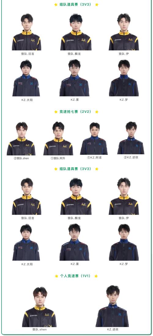 sl9参赛队伍名单(揭秘dota2强队对战阵容)