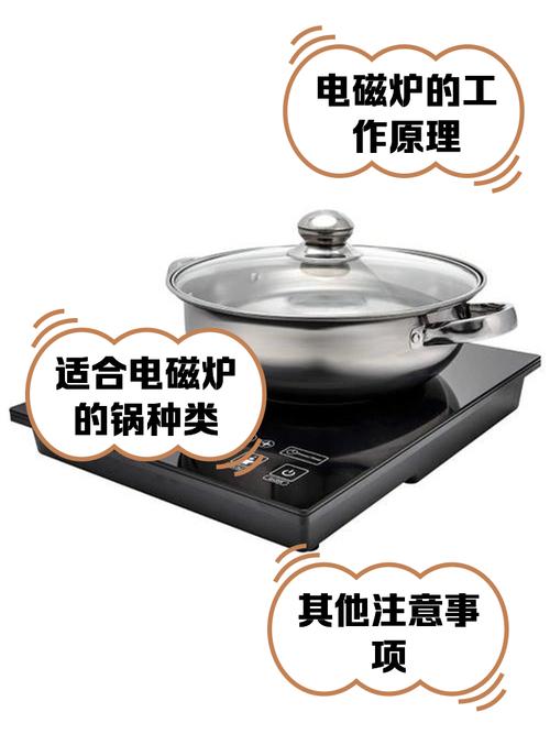 哪种锅适合电磁炉？新手选购这5种材质不踩坑！
