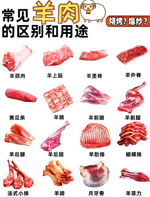 羊肉和鸭肉哪个是白肉(营养师3步教你看懂肉类分类)