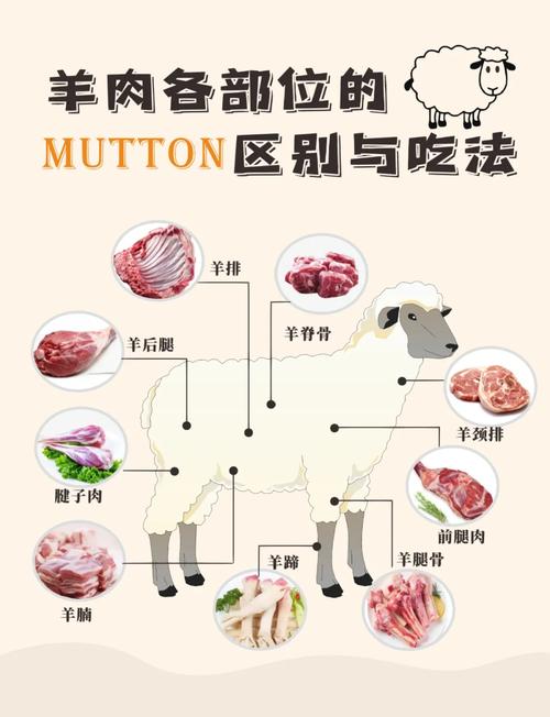 羊肉和鸭肉哪个是白肉(营养师3步教你看懂肉类分类)
