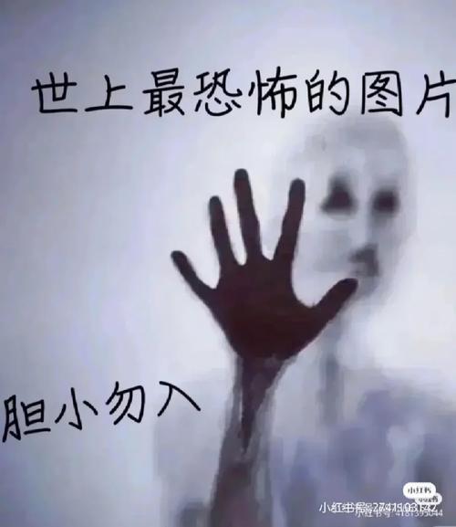 世界上最可怕的东西是什么？盘点这些让你不寒而栗的事物