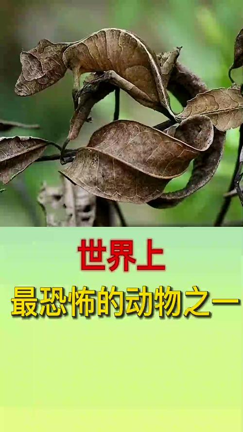 世界上最可怕的东西是什么？盘点这些让你不寒而栗的事物