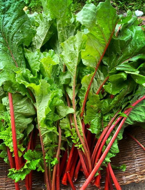 萝卜缨到底是哪块地方？大多数人搞错其实是绿叶子