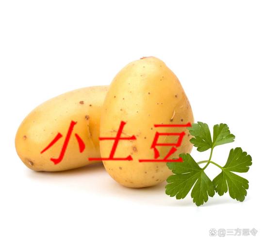 南方小土豆是啥意思？揭秘为啥大家都在说它！