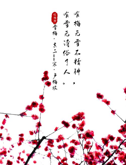 描写梅花的诗句蚂蚁庄园推荐哪些？(必看经典梅花诗词赏析！)