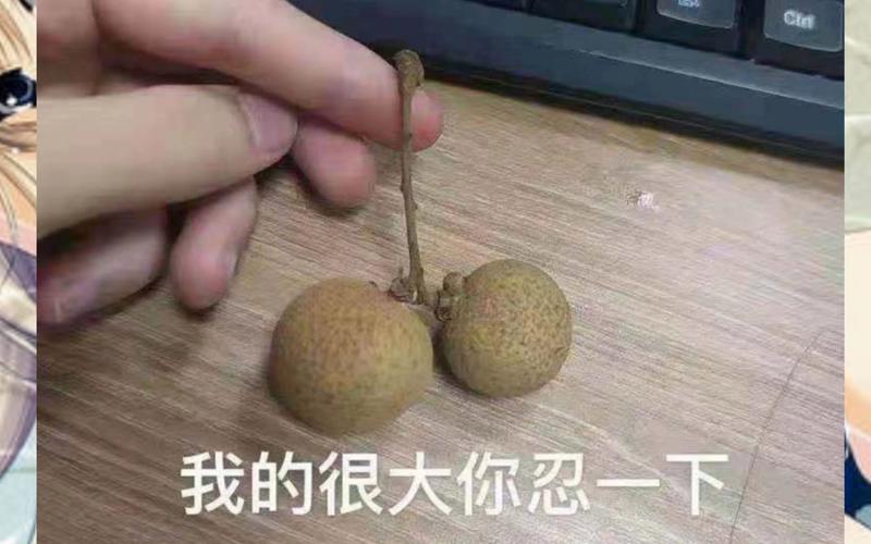 我的很大你忍一下什么梗为啥火了？(揭秘引爆社交媒体的内幕)