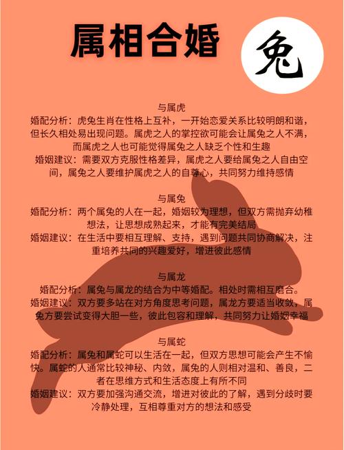 鼠兔亲缘关系研究进展：为何它更接近兔子？全面解析答案！