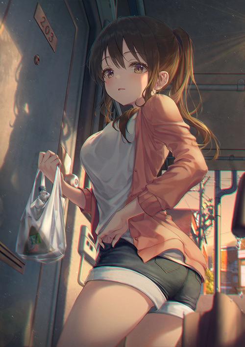 LSP说的P站是哪个