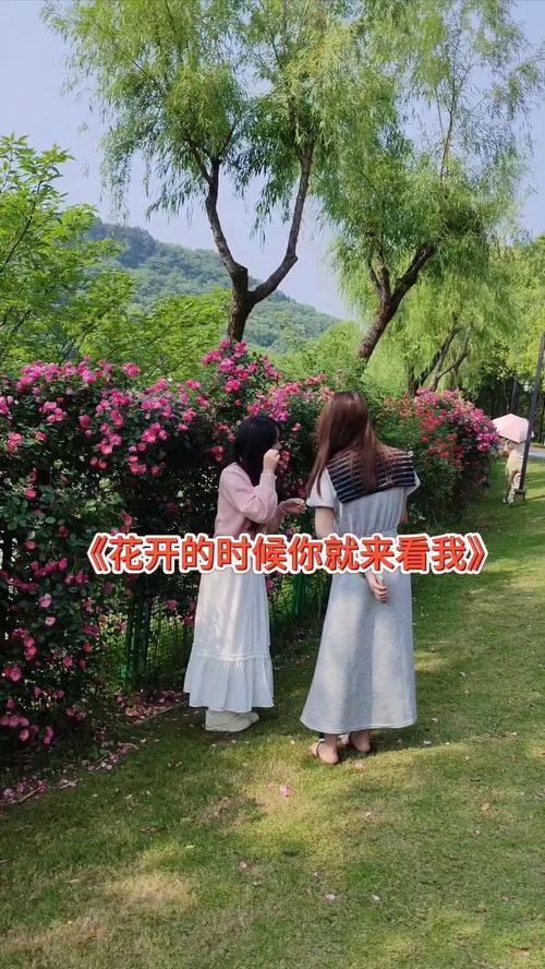 花开的时候你就来看我季节是啥时候？最佳时机别错过！