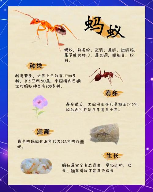 蚂蚁庄园科普：首当其冲的正确用法你知道吗？
