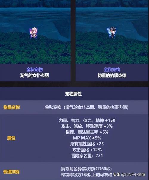 dnf镶嵌栏开启装置最新攻略？(省时省力玩法全揭秘！)