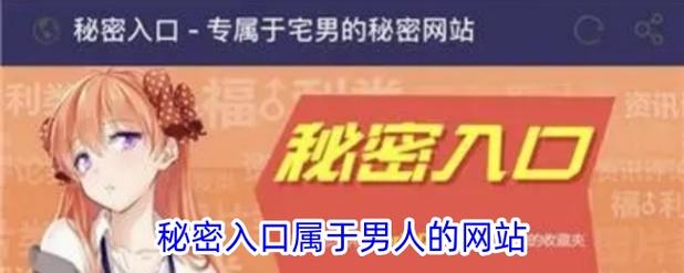 秘密入口属于男人的网站效果如何？3个方法快速提升