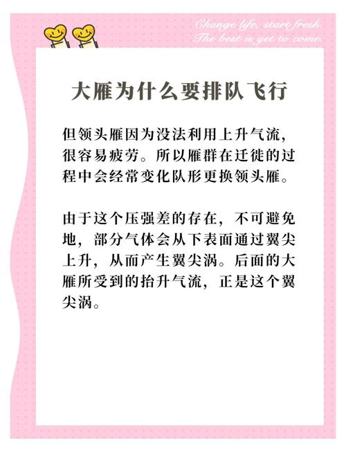 揭秘大雁排队飞行原因！背后这三点作用让人想不到