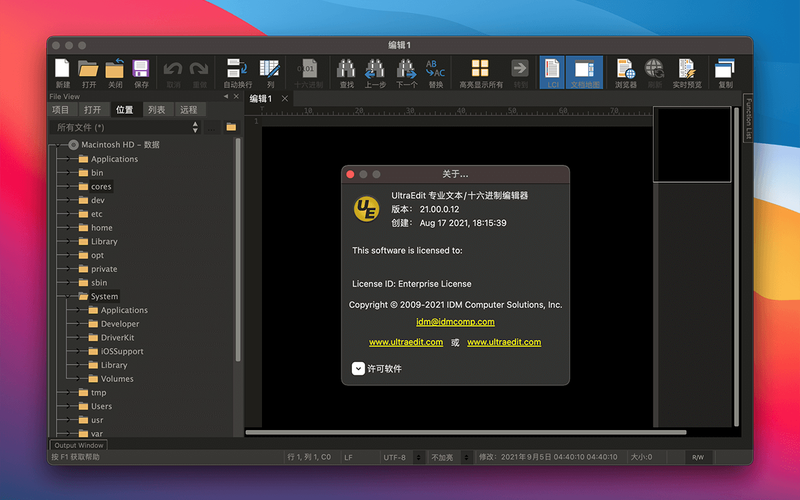 ultraedit32如何高效使用？编辑高手实战技巧揭秘！