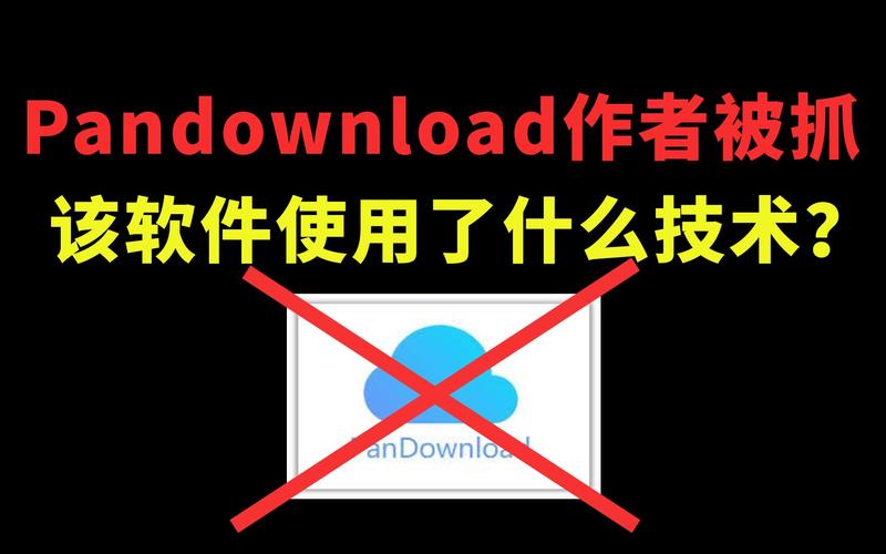 pandownload设置优化有哪些要点？(高效操作流程教程分享)