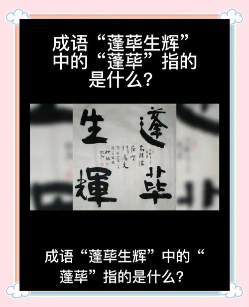 蓬荜生辉的蓬荜如何解释？(简单方法快速记住它)
