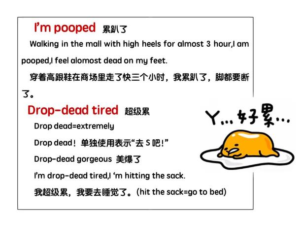 LELEYINGYUAN通票怎么买划算？内部员工教你省钱妙招