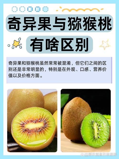 奇异果和猕猴桃是一种水果吗蚂蚁科普指南分享！