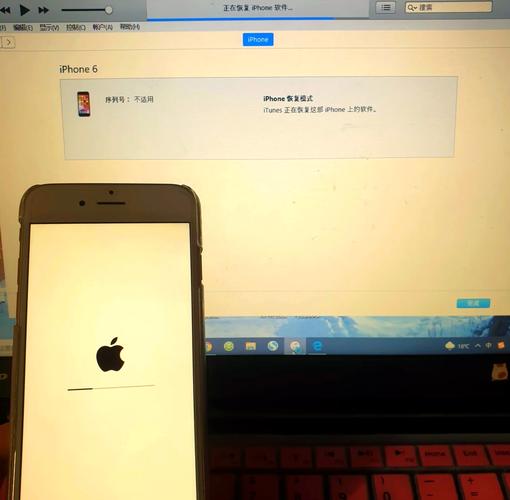 itunes最新版64位好用吗？实测新功能快速上手！