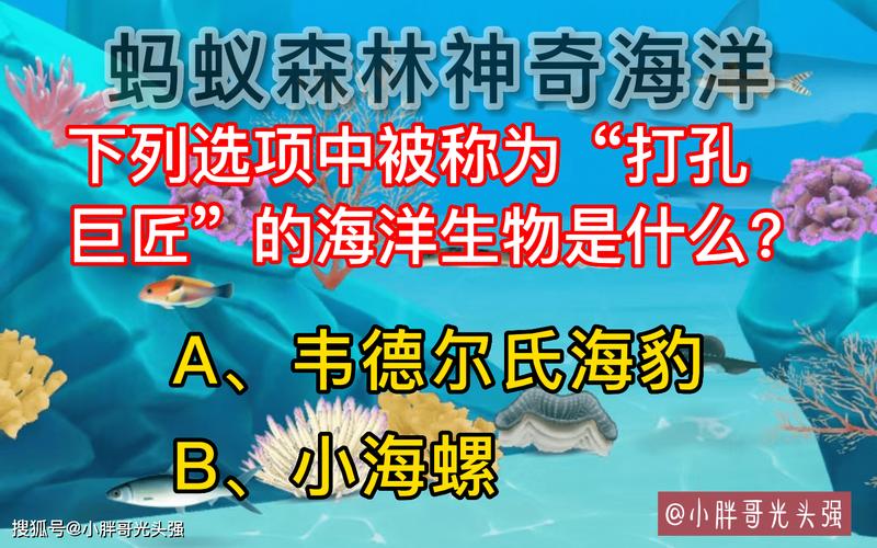 打孔巨匠海洋生物究竟是啥？带你认识这位海底建筑师！
