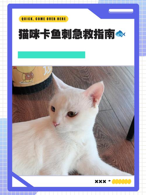 猫咪吃鱼怎么避免卡刺？专家教你挑选安全鱼种！