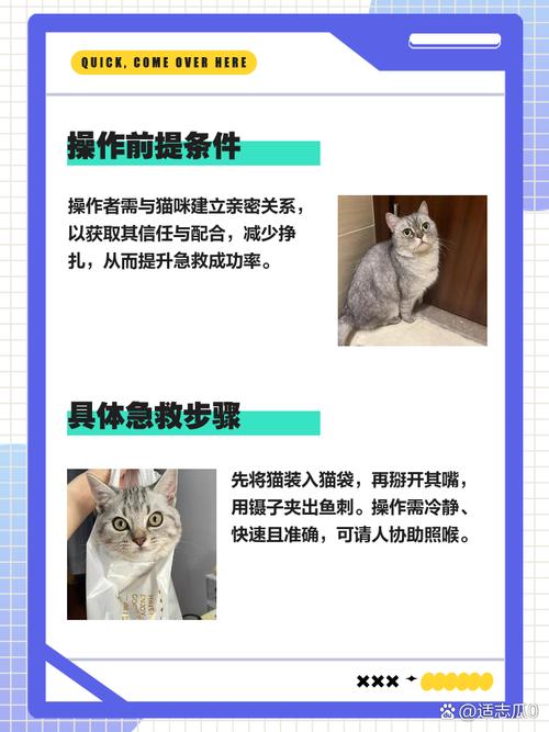 猫咪吃鱼怎么避免卡刺？专家教你挑选安全鱼种！