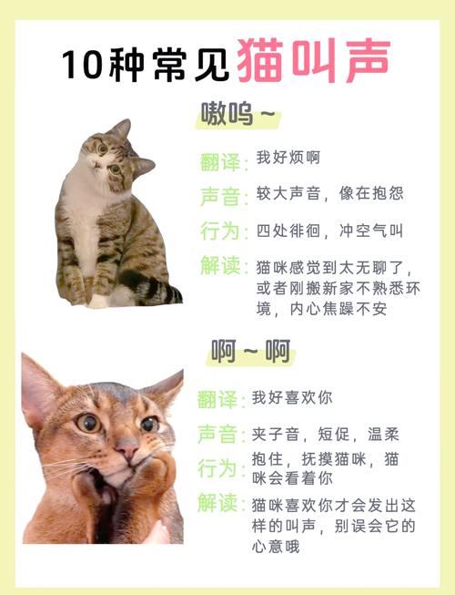 哪种动物叫声和猫咪差不多？邻居听到以为是猫在叫春！