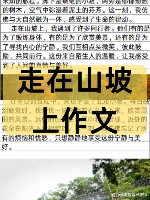 哪里能体会山坡上悠哉向下望的感觉？推荐这3个绝佳观景点！