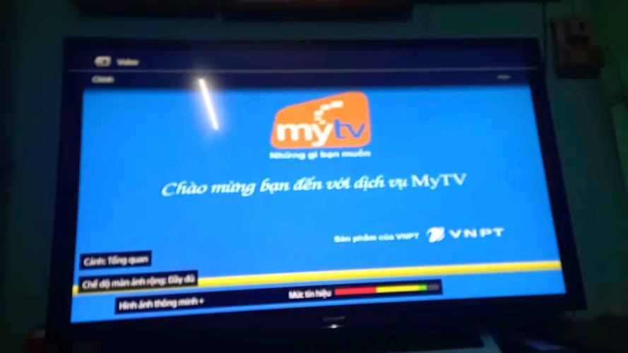 MYTV188.COO值不值？真实用户评价分享！