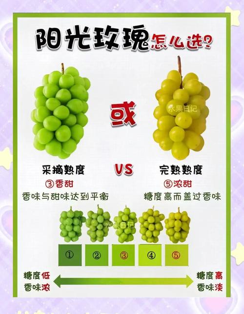买新鲜葡萄挑选秘诀大揭秘，想要买到新鲜的葡萄可以挑选就靠它！