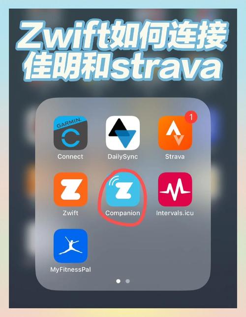 tgfans怎么用？5个实用技巧追星族一看就会！