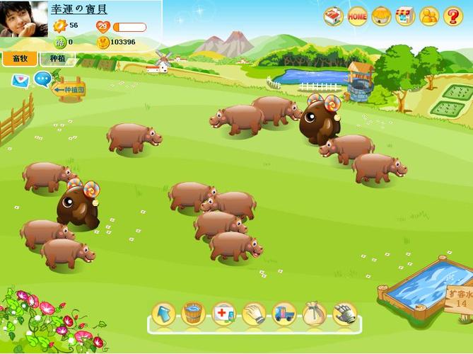 阳光牧场游戏动物怎么培养？这几招让你的牧场更热闹！