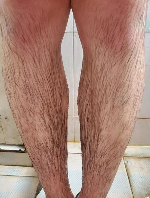 飞毛腿怎么样？真实用户评价分享(优缺点大揭秘)