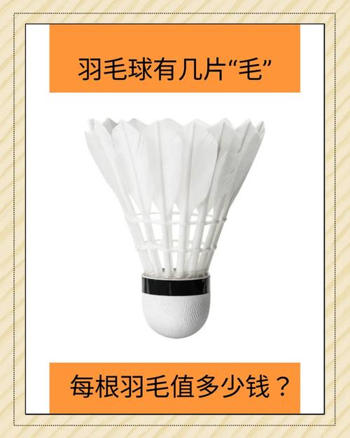 一只羽毛球羽毛根数揭秘：通常有多少根才正宗？