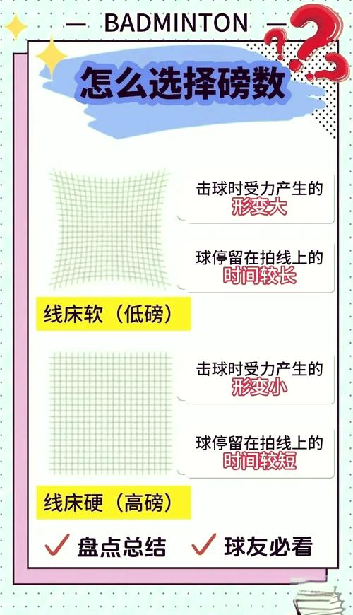 一只羽毛球羽毛根数揭秘：通常有多少根才正宗？