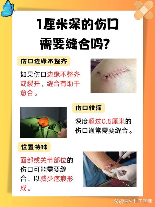 怎样切口平整效果好？专家分享切蛋糕实用操作要点！