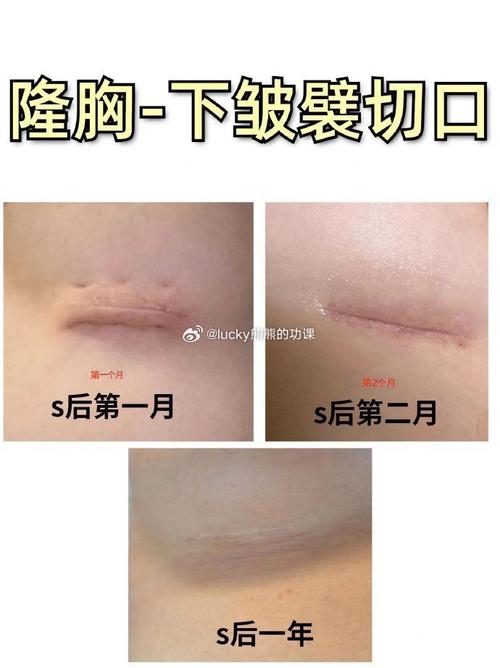 怎样切口平整效果好？专家分享切蛋糕实用操作要点！