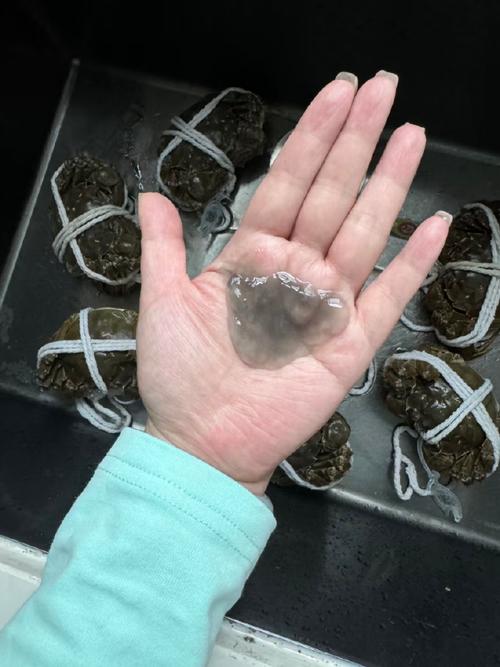 以下哪种海洋动物的血液不是红色（答案让你大吃一惊！）