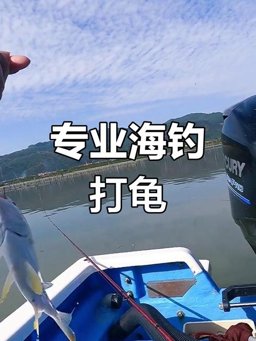 海龟垂钓成就如何快速拿到？(专家亲授简单秘诀)