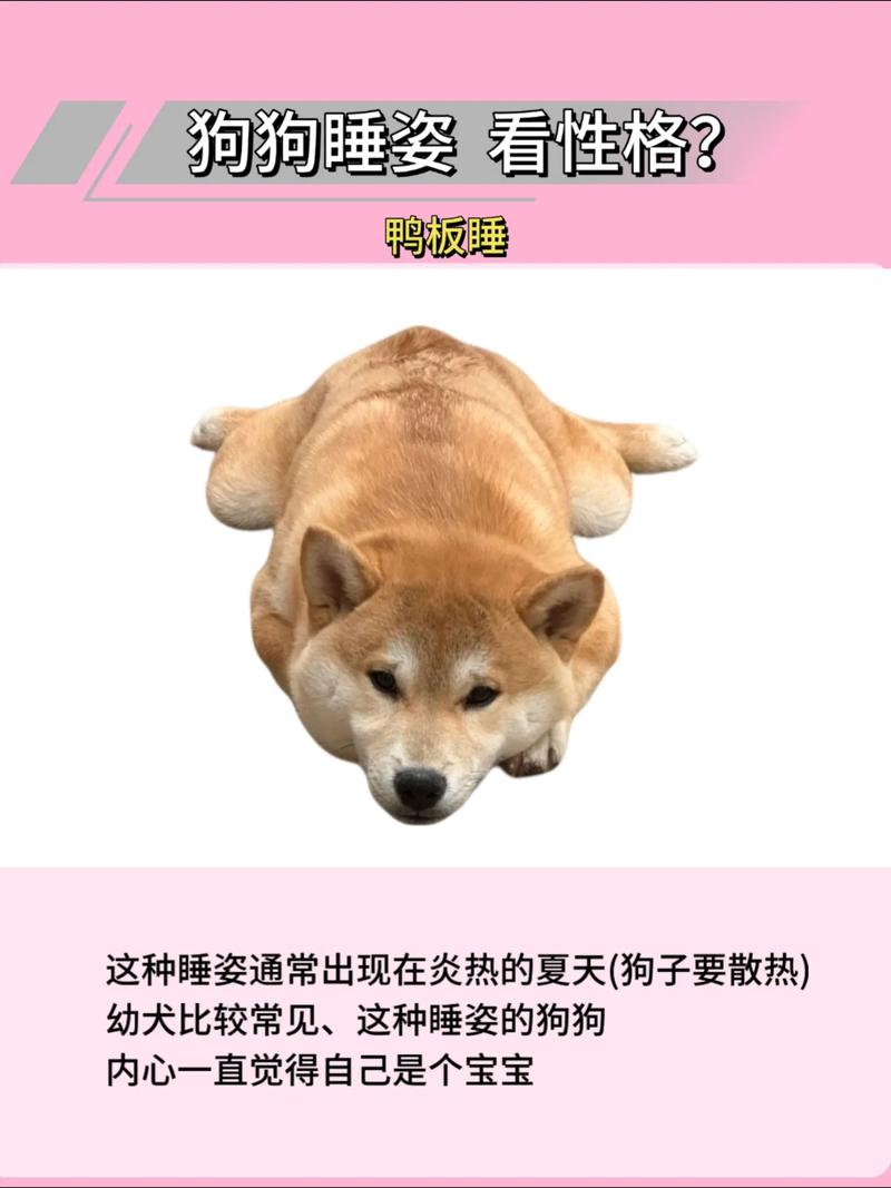 什么动物睡觉的时候睁一只眼闭一只眼？揭示海洋陆地动物奇特习性！