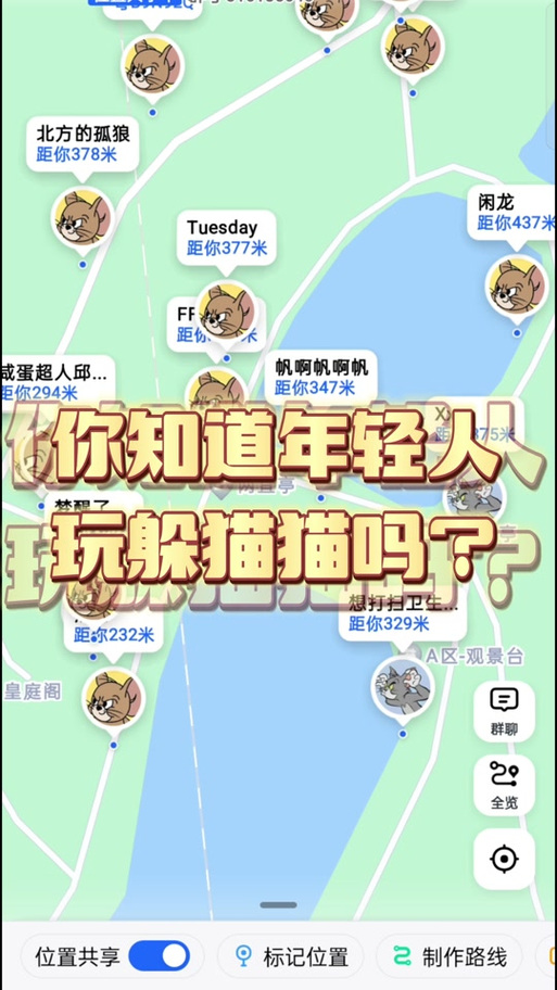 天猫捉猫猫问题解答大全！常见疑问速清理解！