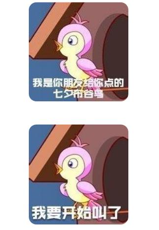 布谷鸟七夕是什么梗？原来这个谐音暗藏脱单玄机！