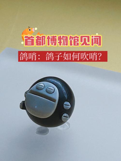 鸽子哨怎么带效果更好？3个技巧快速提升成功率！