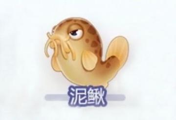 摩尔庄园泥鳅捕捉大全？老玩家经验一步到位！
