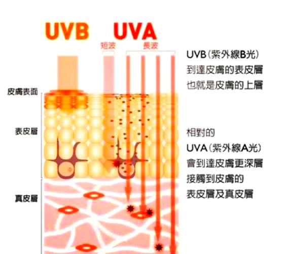 Recuva对比其他工具？快速选对恢复方案！