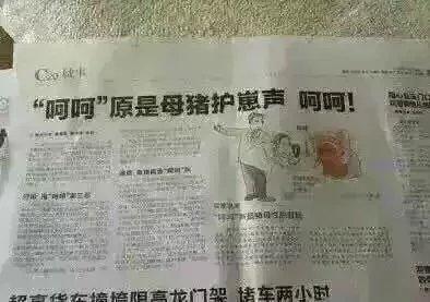 有人叫你呵呵是母猪怎么办？三步教你机智应对