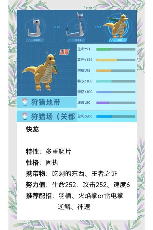 乐趣网龙将如何快速升级？老玩家教你效率提升法！