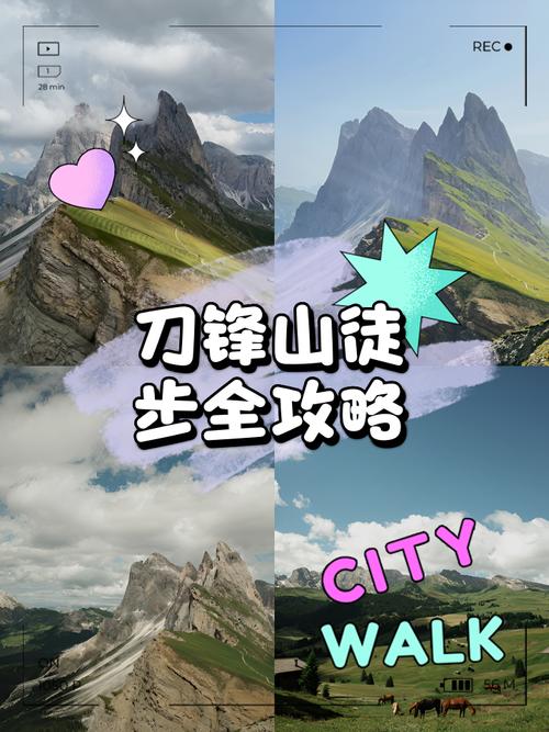 刀锋山任务技巧分享？高手经验实用贴士