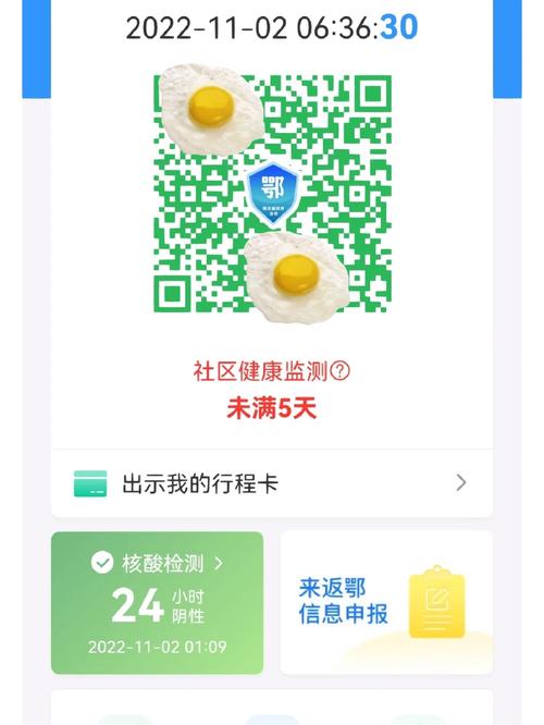 湖北健康码什么用？出行必备功能详解一看就懂！