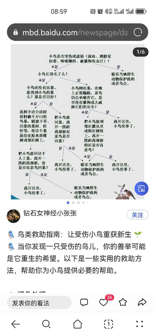 小魔仙找茬常见问题解决：小技巧告别卡关难题！